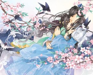 蜜芽网官网